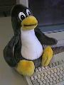 Tux, das Linux-Maskottchen